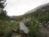 atthetopoftheroadweheadoutonfoot_small.jpg