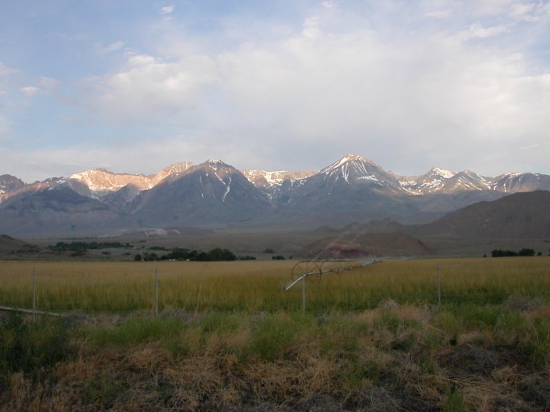 theeasternsierracrest.jpg