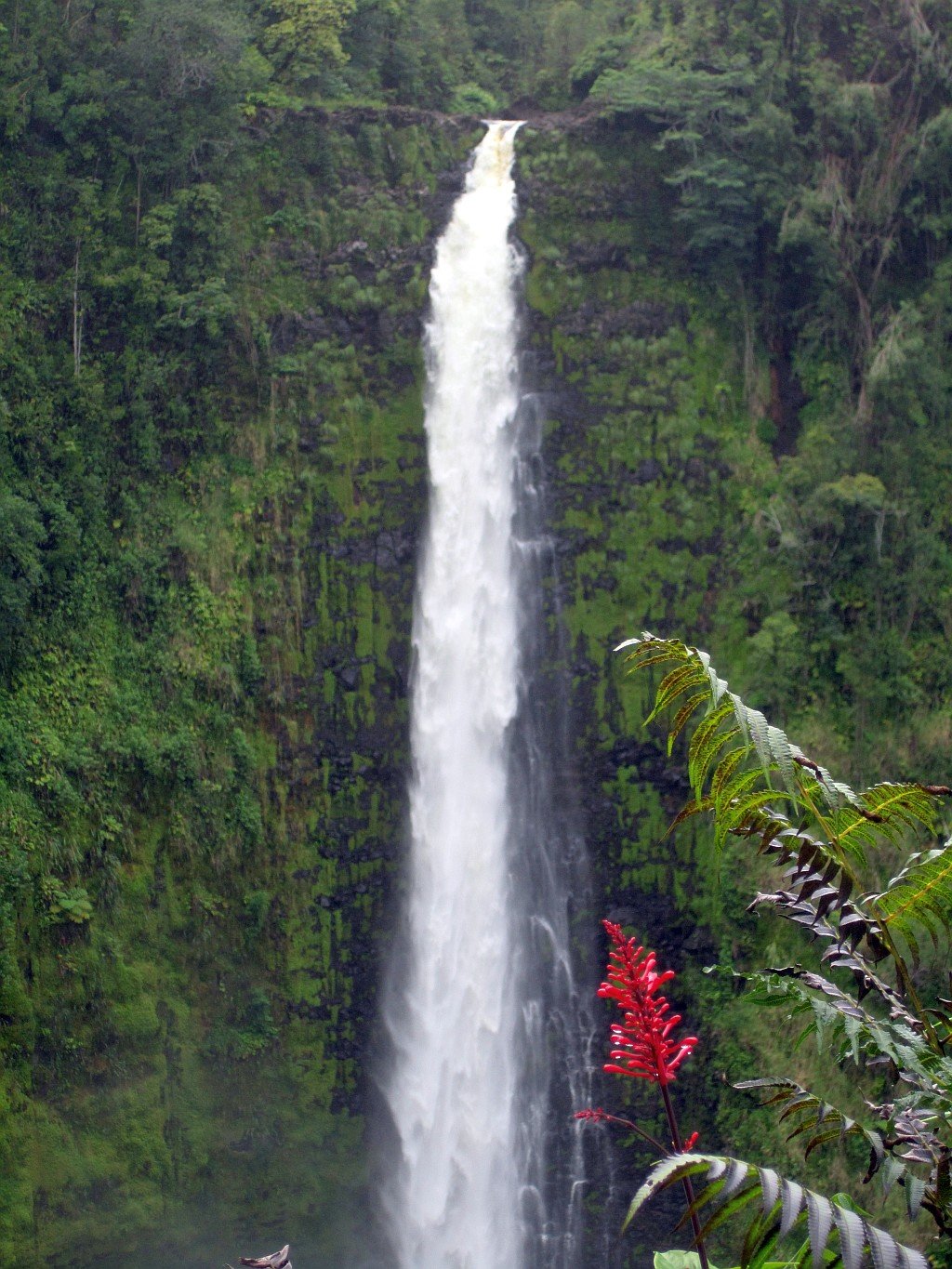 akaka.jpg
