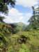 approachingwaipio_small.jpg