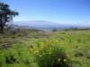 maunaloa_small.jpg