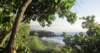 paulsbackyard_small.jpg
