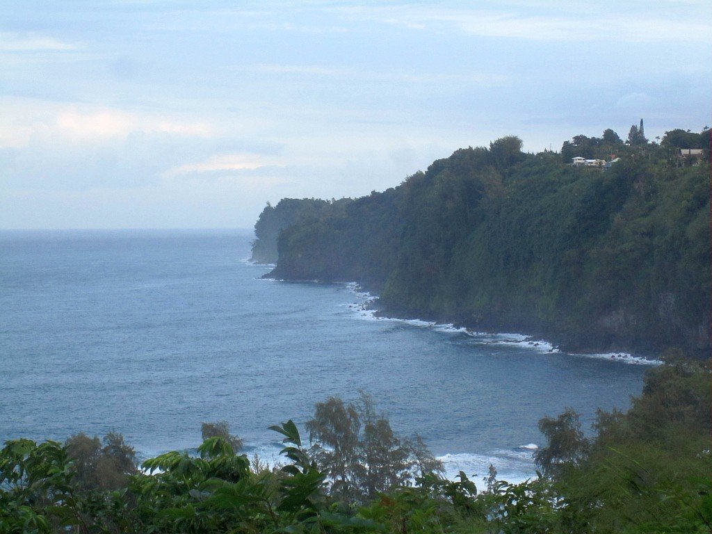 photo3.jpg