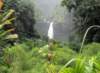 photo5_small.jpg
