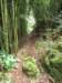 thetrail_small.jpg