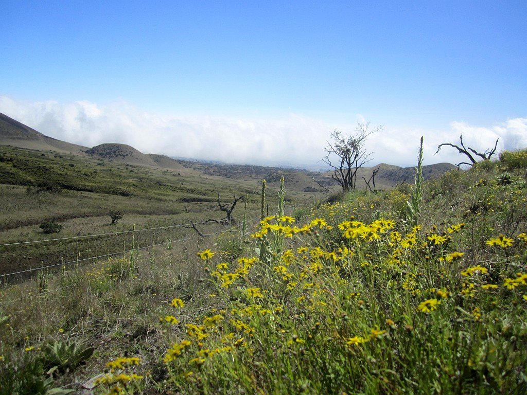 wideopenspaces.jpg
