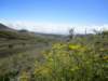 wideopenspaces_small.jpg
