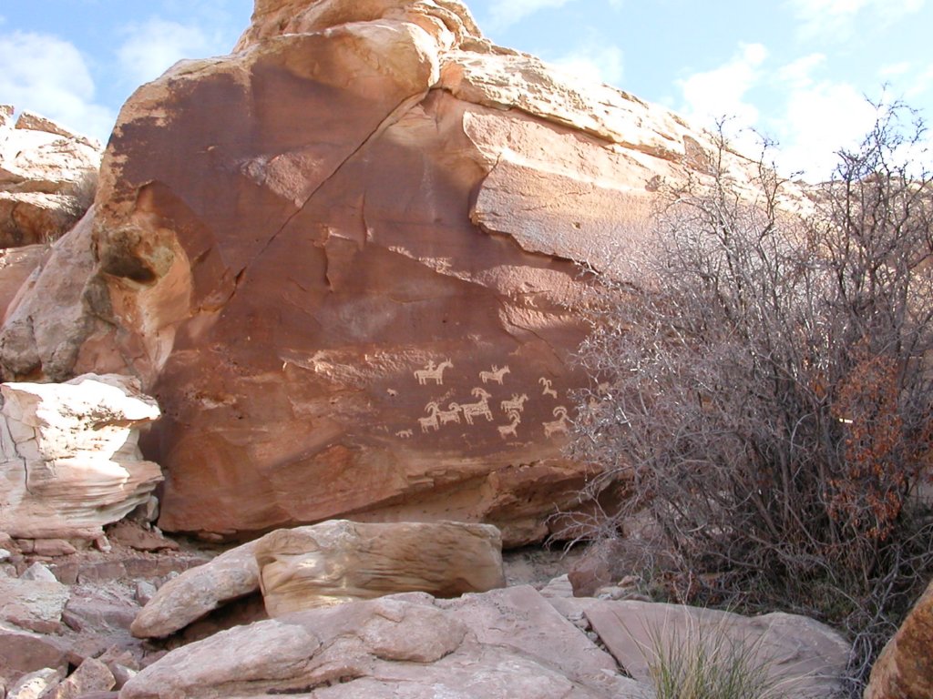 a046.jpg