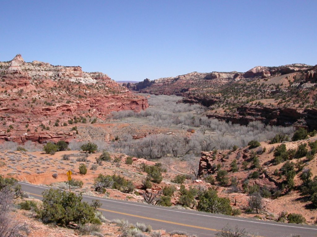 a089.jpg