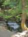 img_1152shrp_small.jpg