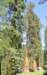 img_1157crop_small.jpg