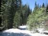 img_1165crp_small.jpg