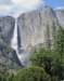 yfu_1030crp_small.jpg