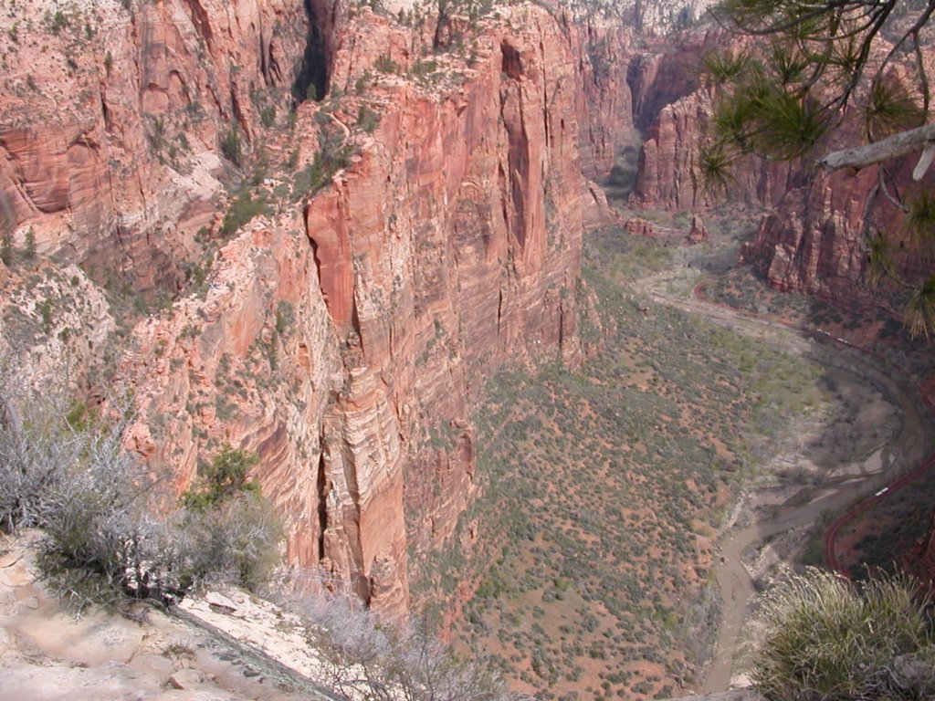 photo26.jpg