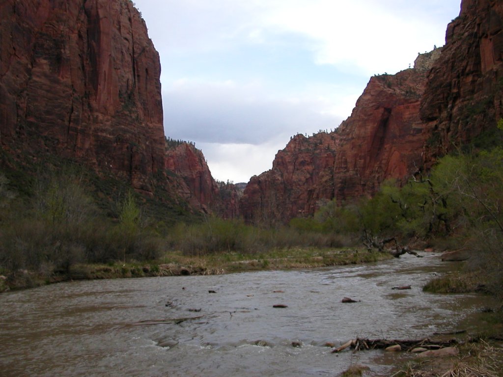 photo31.jpg