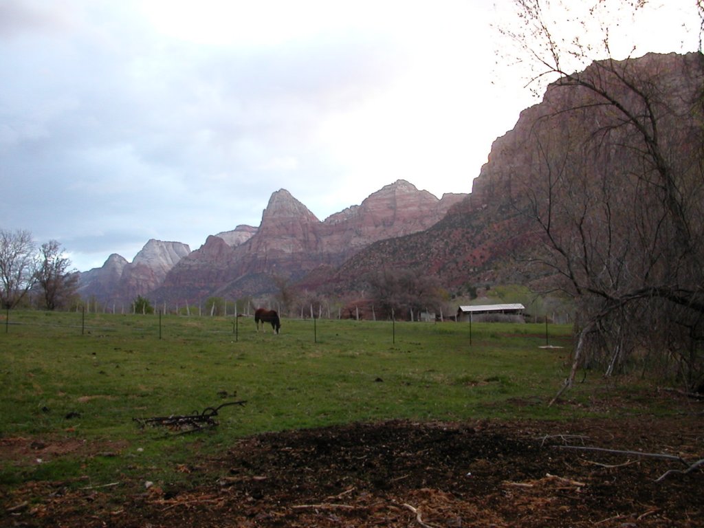 photo33.jpg