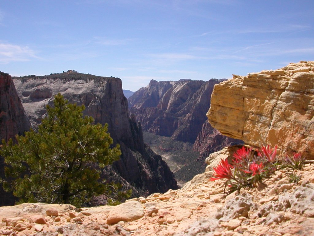 photo8.jpg